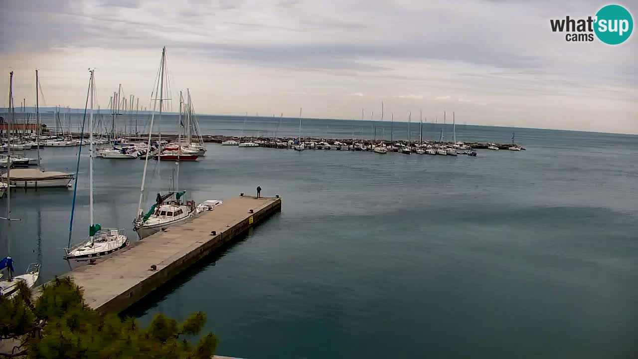 Webcam Sistiana – Vista sulla marina e sulla baia
