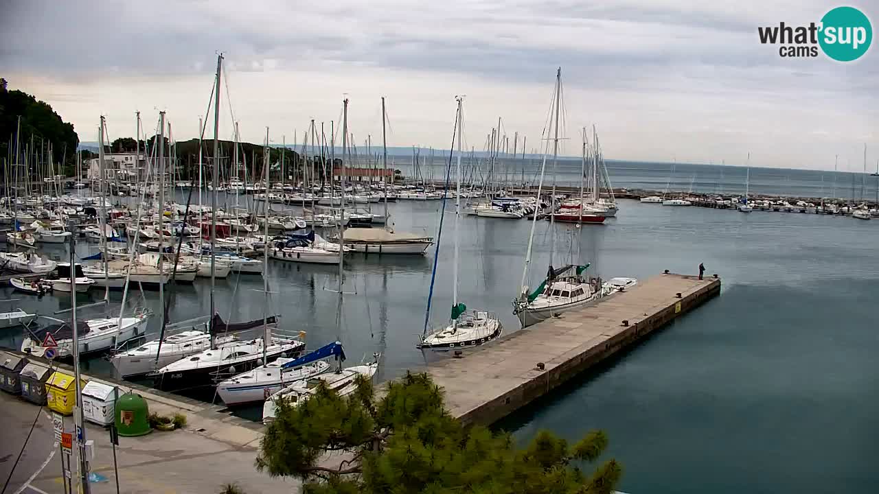 Webcam Sistiana – Vista sobre la marina y la bahía