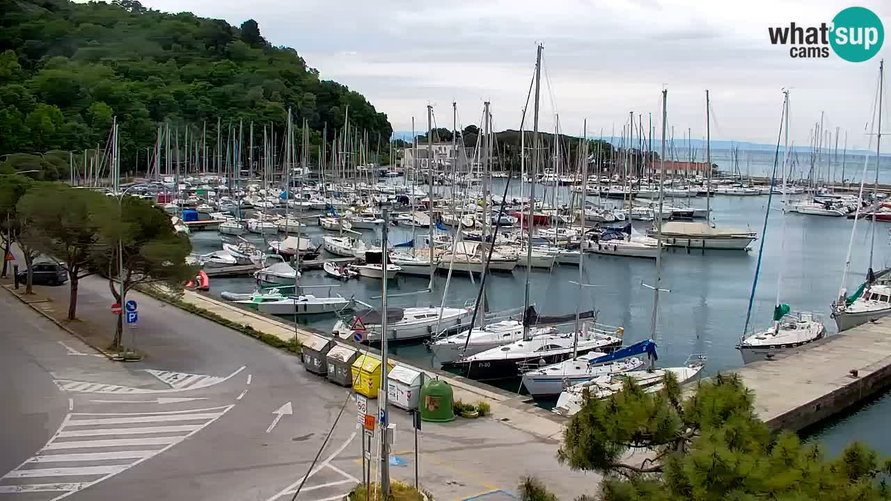 Spletna kamera Sesljan (Sistiana) – Pogled na marino in zaliv