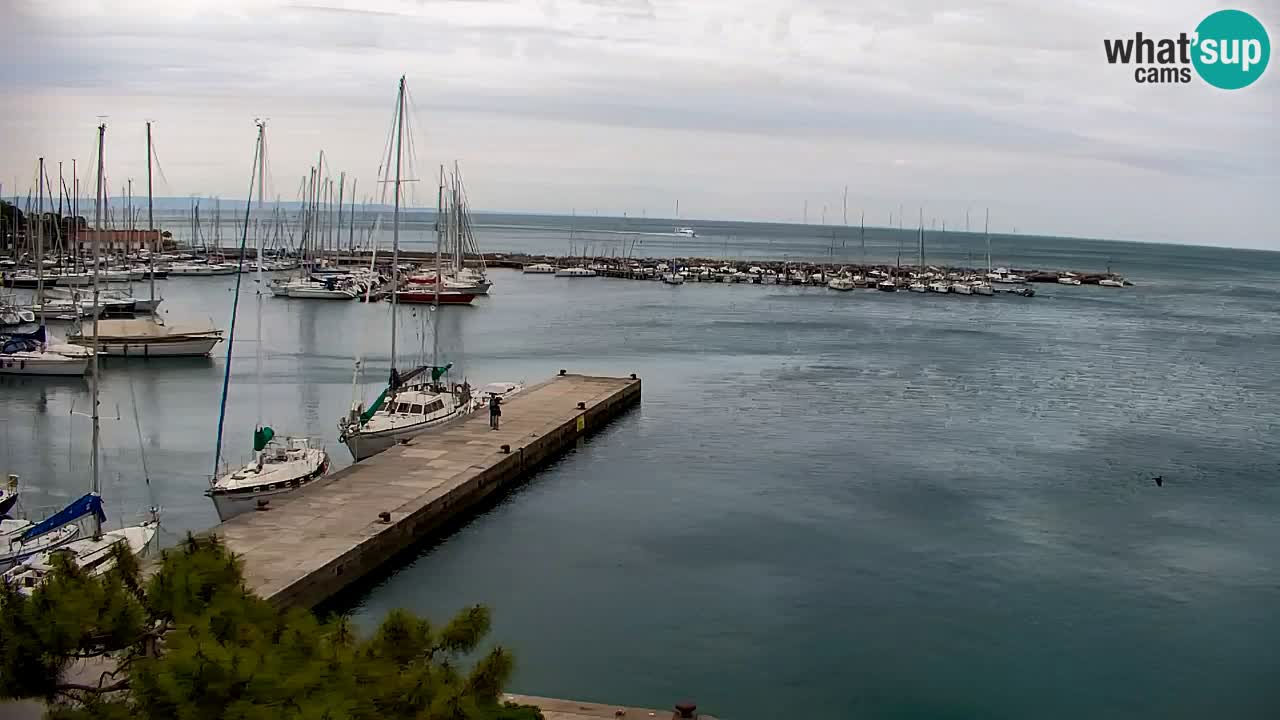 Webcam Sistiana – Marina and Bay Live View