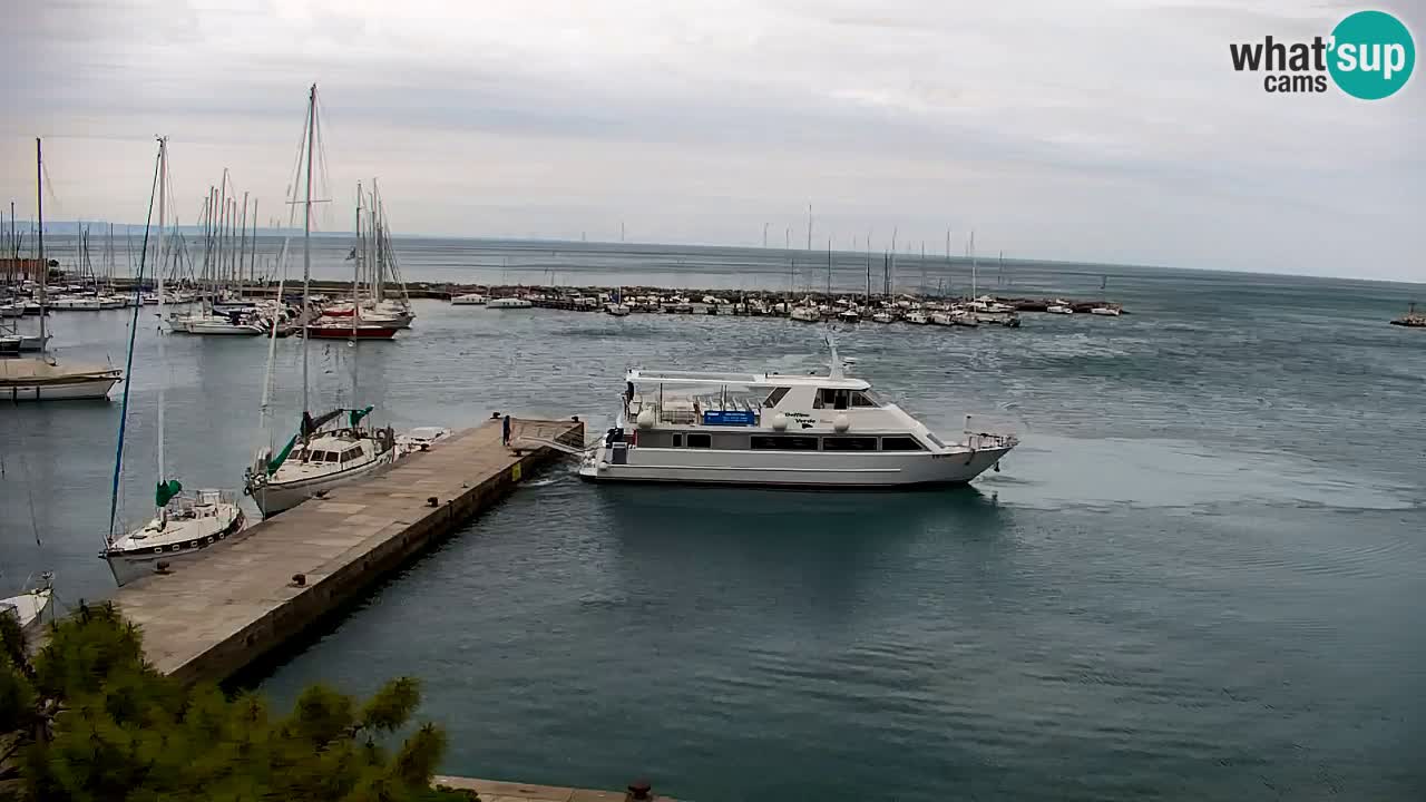 Webcam Sistiana – Marina and Bay Live View