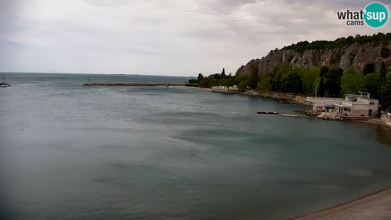 Spletna kamera Sesljan (Sistiana) – Pogled na marino in zaliv