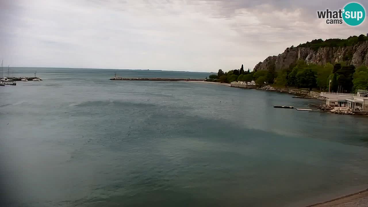 Webcam Sistiana – Vista sulla marina e sulla baia