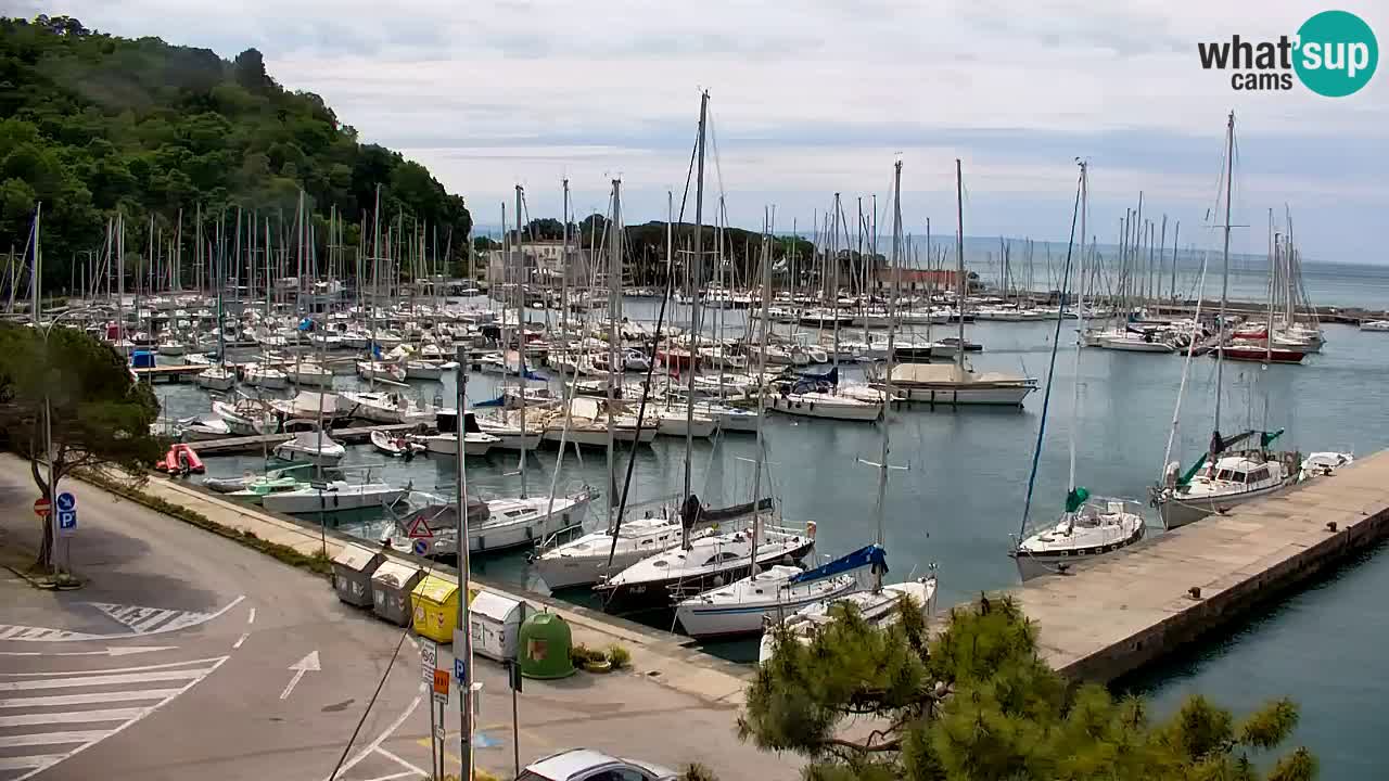 Webcam Sistiana – Marina and Bay Live View