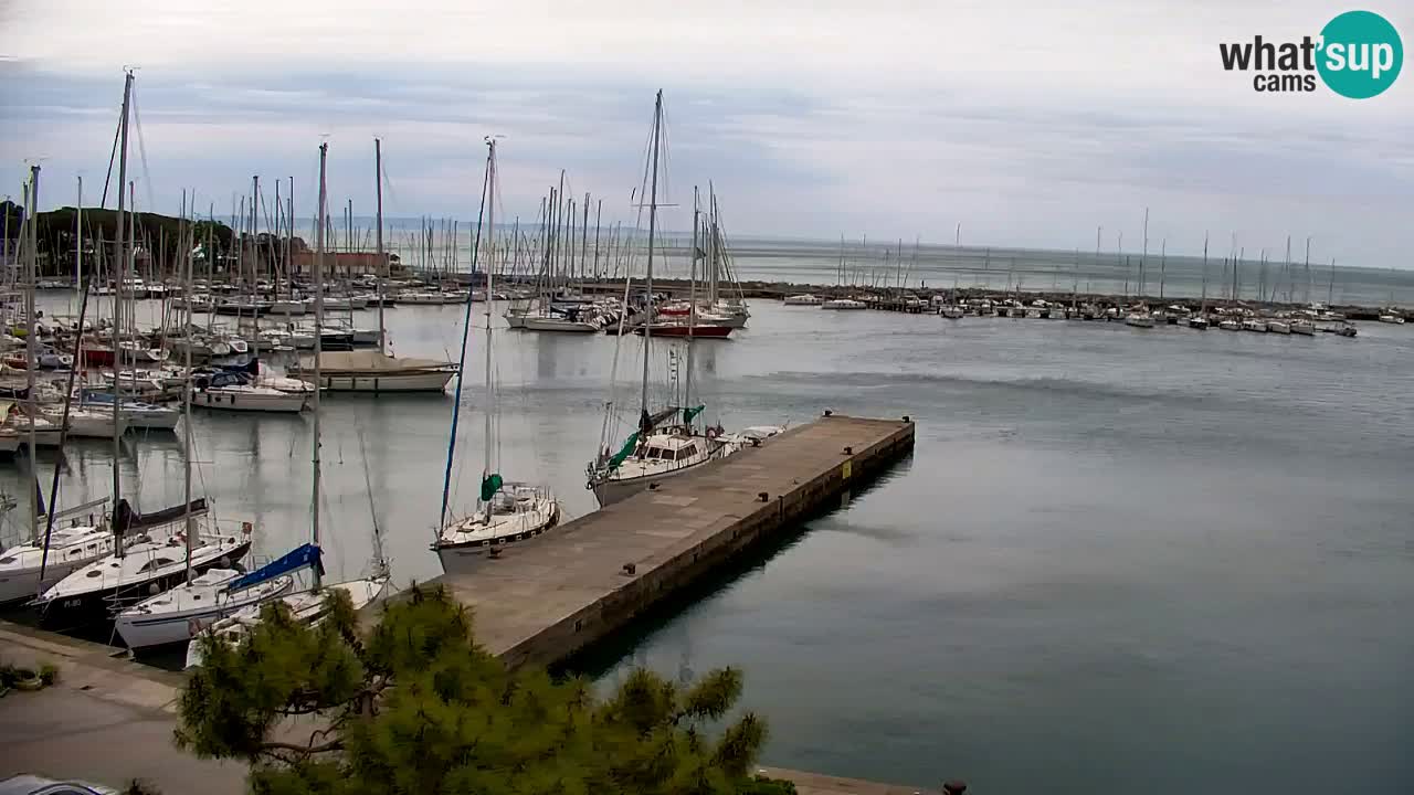 Webcam Sistiana – Marina and Bay Live View