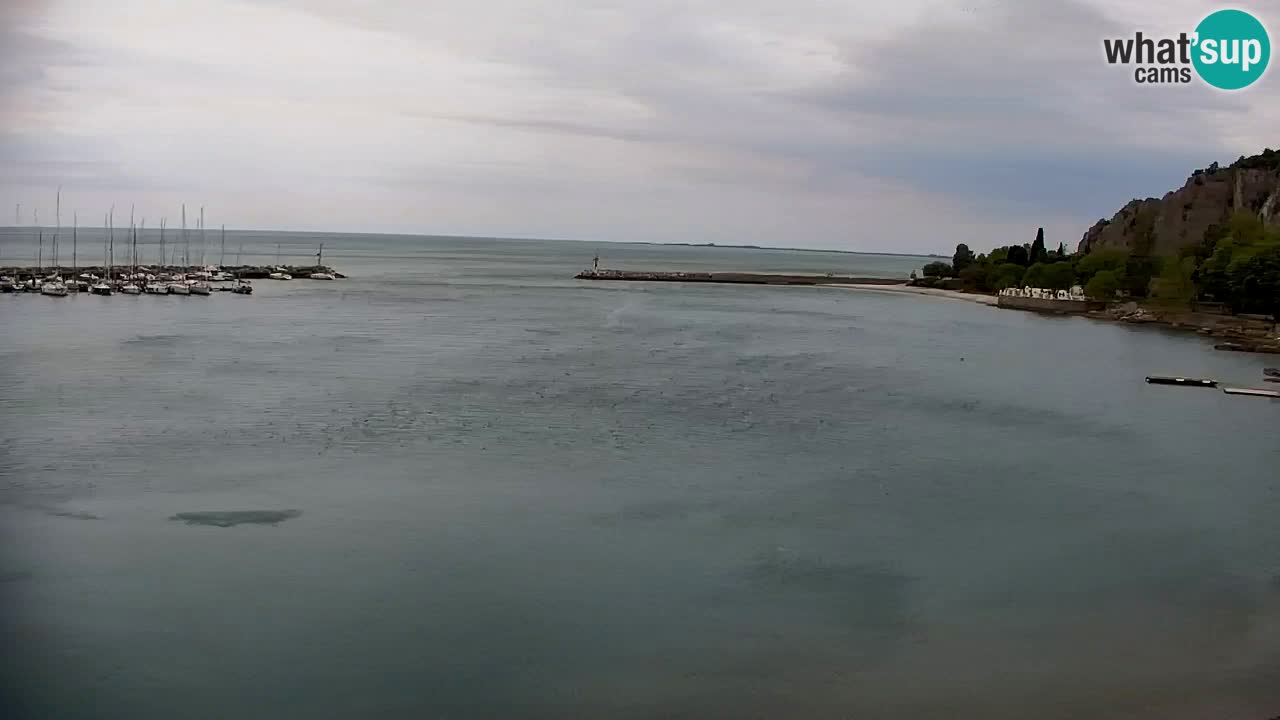 Spletna kamera Sesljan (Sistiana) – Pogled na marino in zaliv