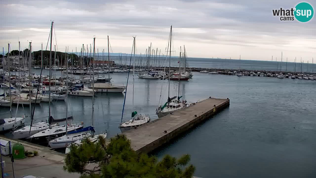 Webcam Sistiana – Marina and Bay Live View