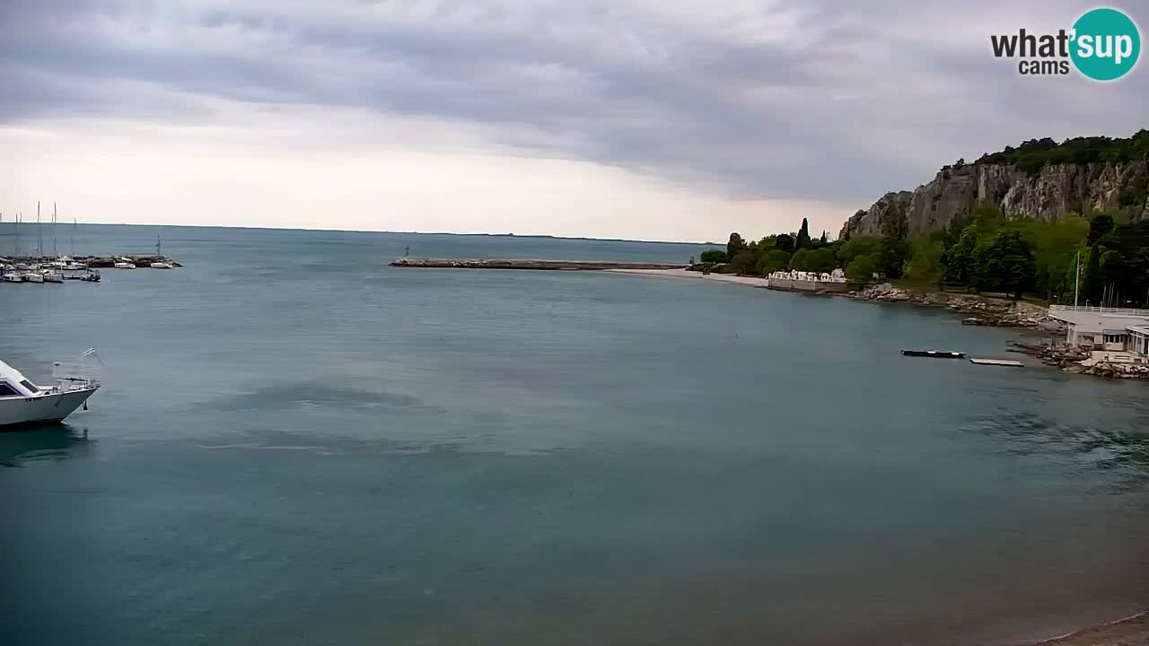 Webcam Sistiana – Pogled na marinu i zaljev