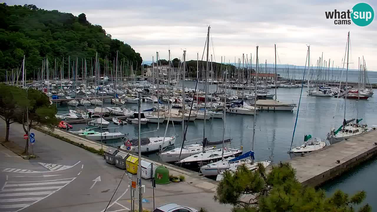 Webcam Sistiana – Marina and Bay Live View