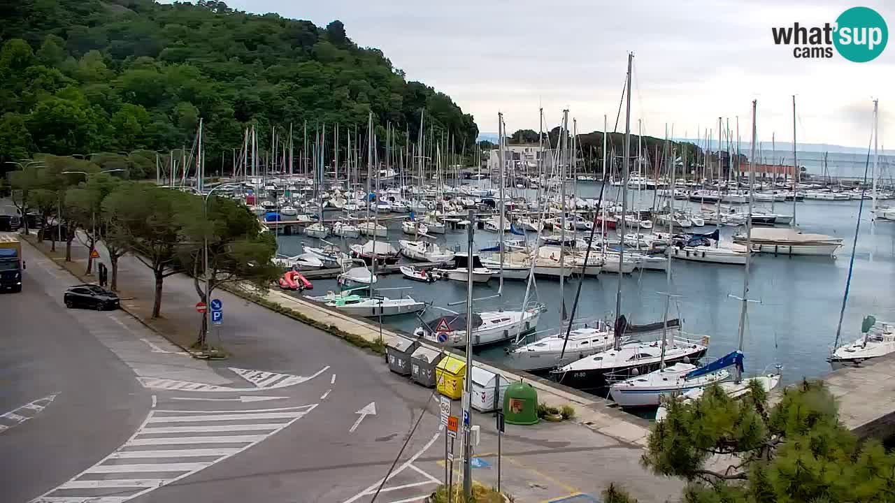 Webcam Sistiana – Pogled na marinu i zaljev