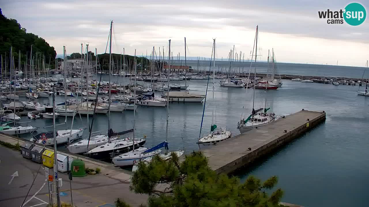 Spletna kamera Sesljan (Sistiana) – Pogled na marino in zaliv