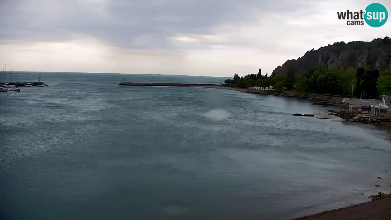 Webcam Sistiana – Blick auf Marina und Bucht