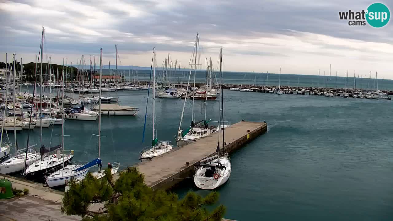 Webcam Sistiana – Vista sulla marina e sulla baia