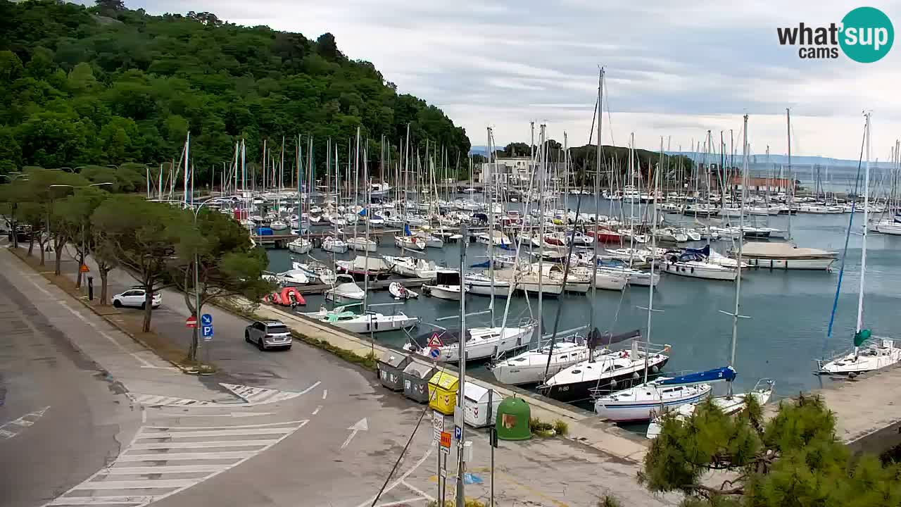 Webcam Sistiana – Marina and Bay Live View