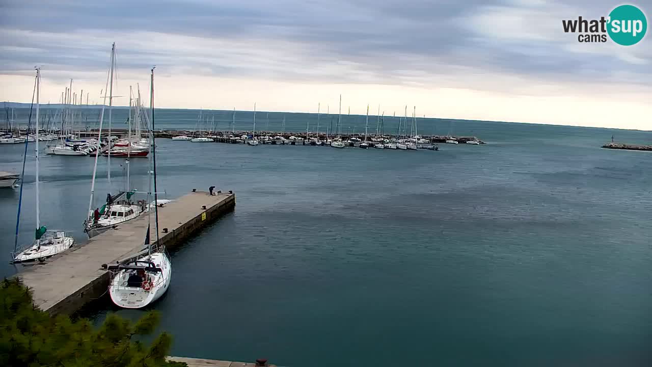 Webcam Sistiana – Vista sulla marina e sulla baia