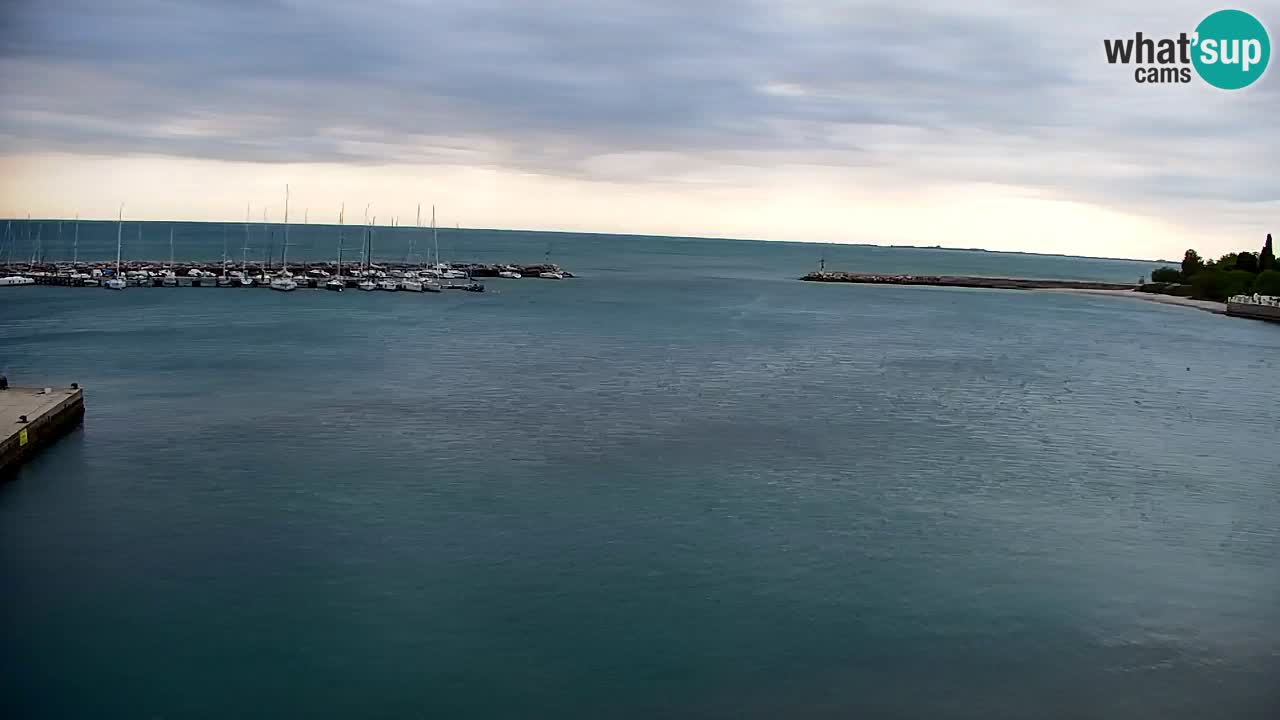 Spletna kamera Sesljan (Sistiana) – Pogled na marino in zaliv