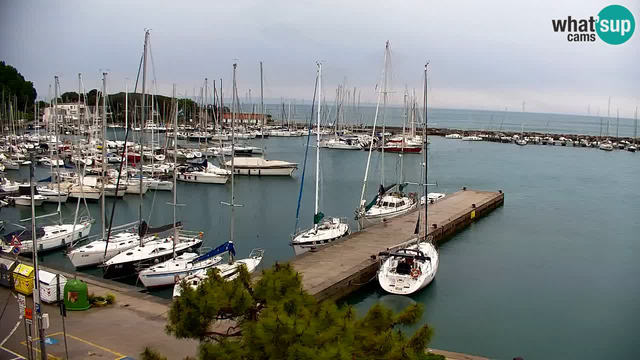 Webcam Sistiana – Marina and Bay Live View