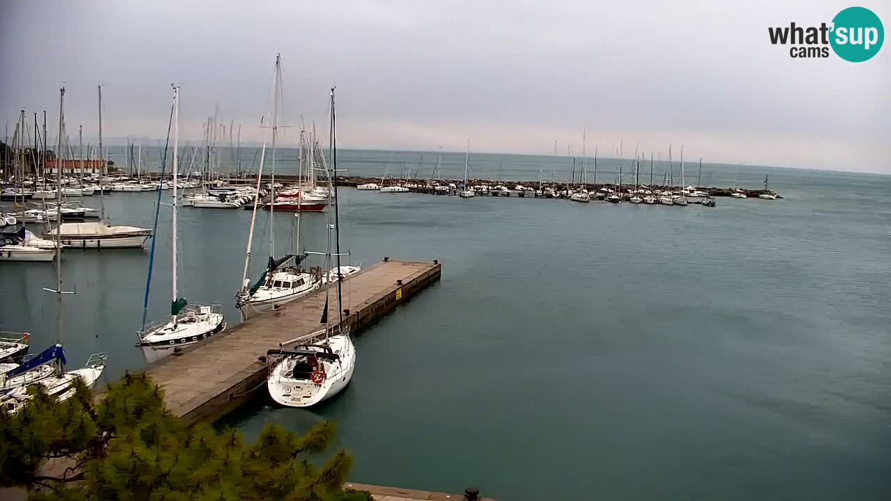 Webcam Sistiana – Vista sobre la marina y la bahía