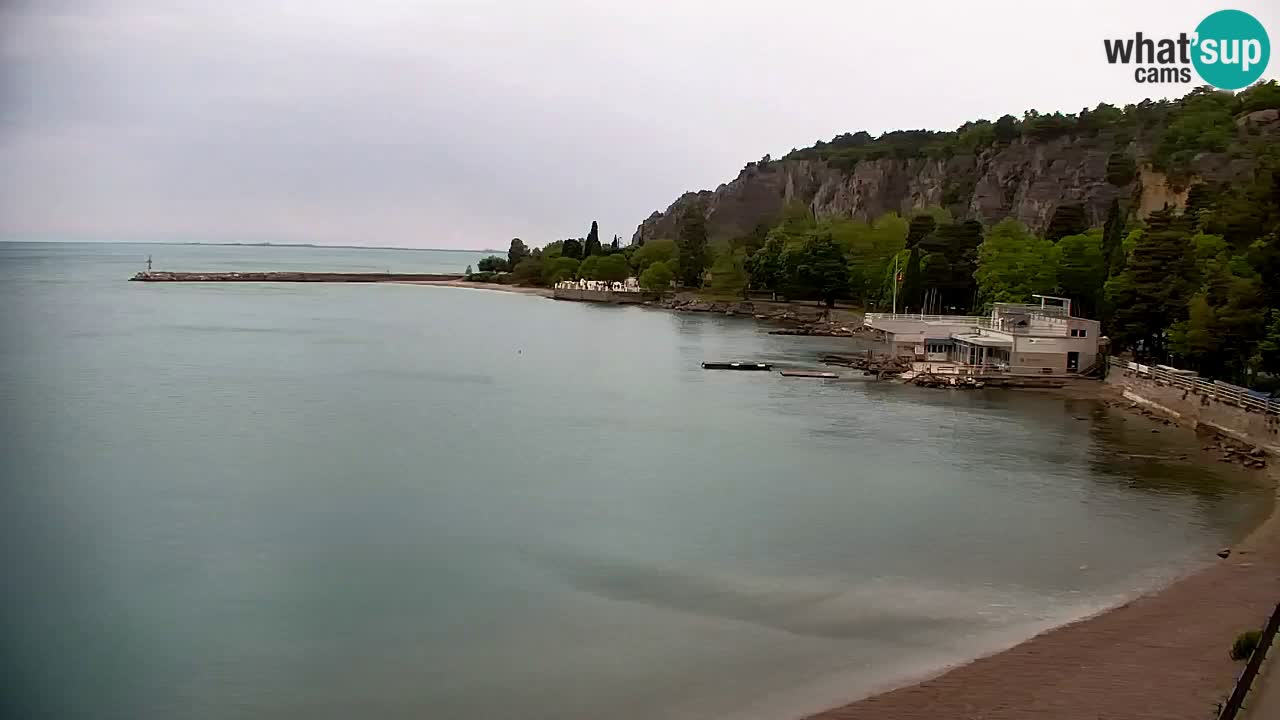 Webcam Sistiana – Marina and Bay Live View