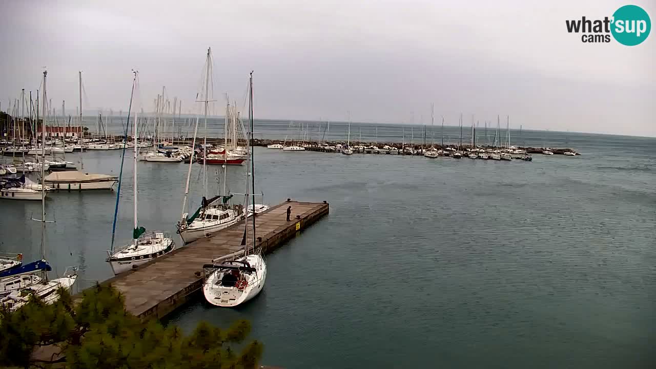 Webcam Sistiana – Vista sobre la marina y la bahía