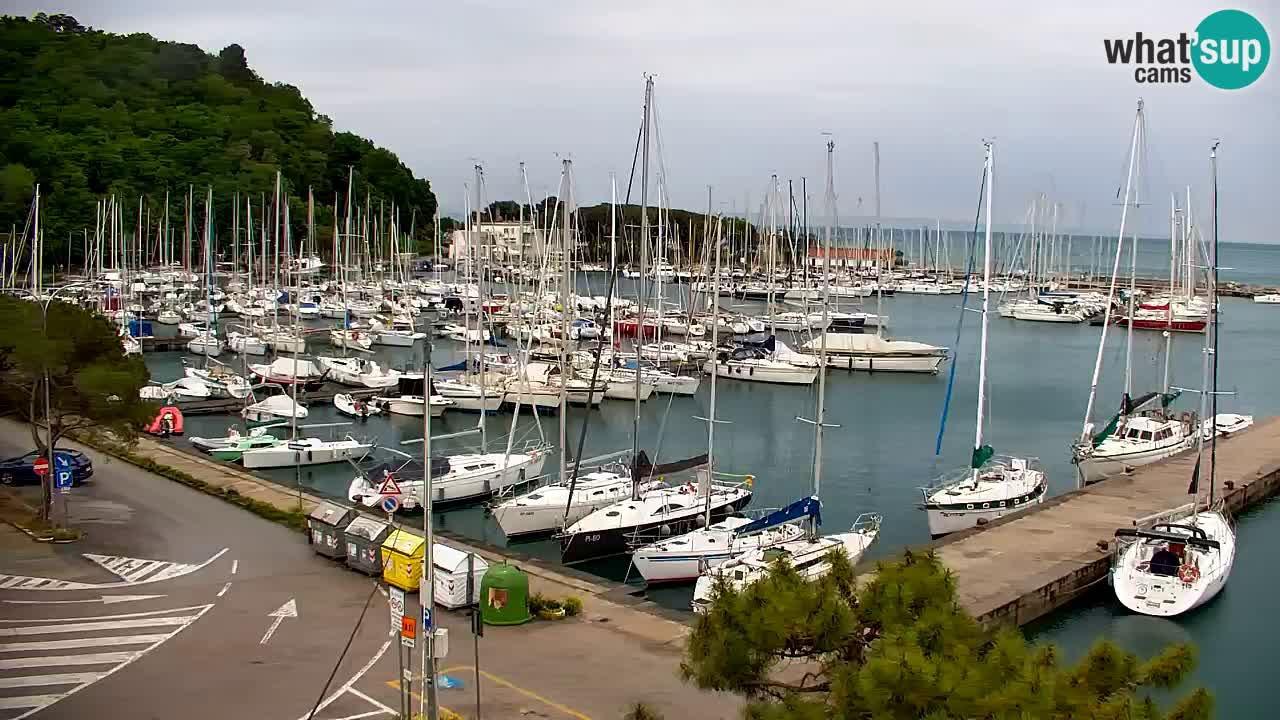 Webcam Sistiana – Marina and Bay Live View