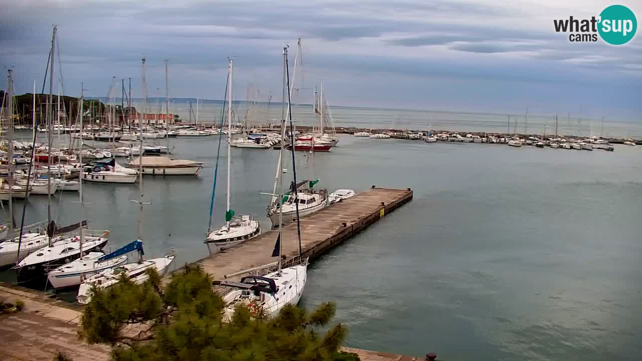 Webcam Sistiana – Vista sulla marina e sulla baia