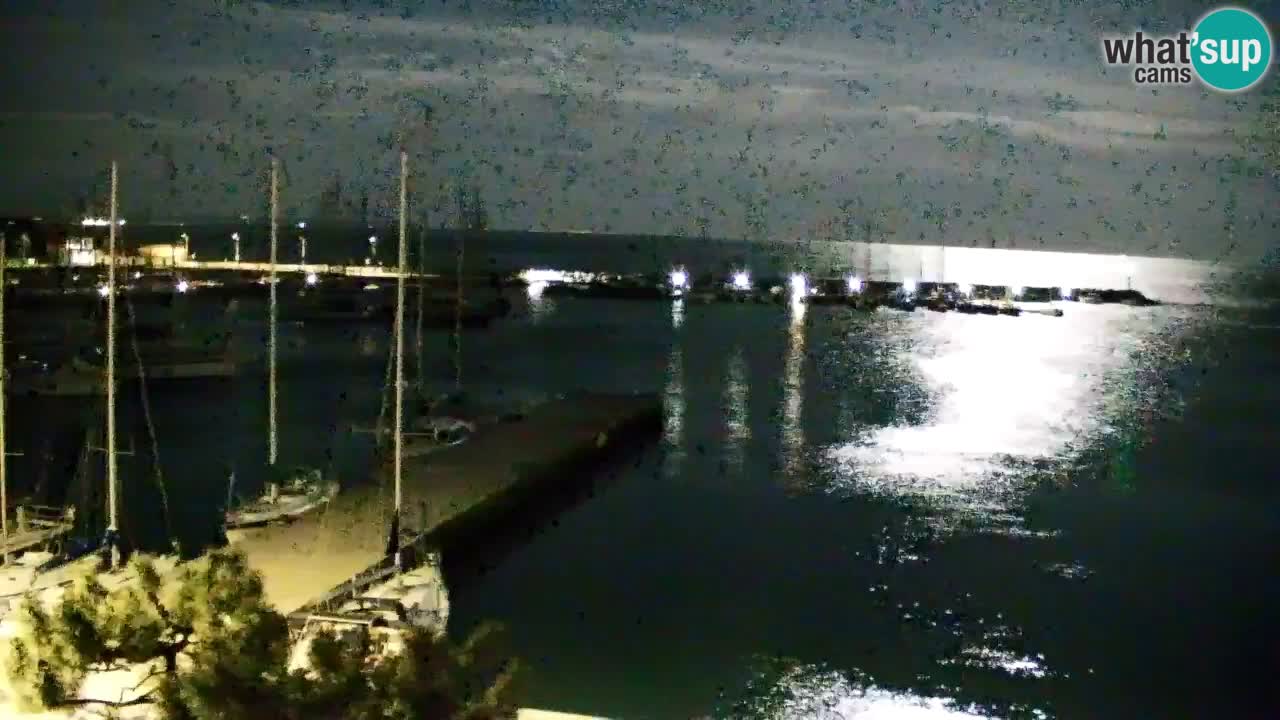 Webcam Sistiana – Marina and Bay Live View