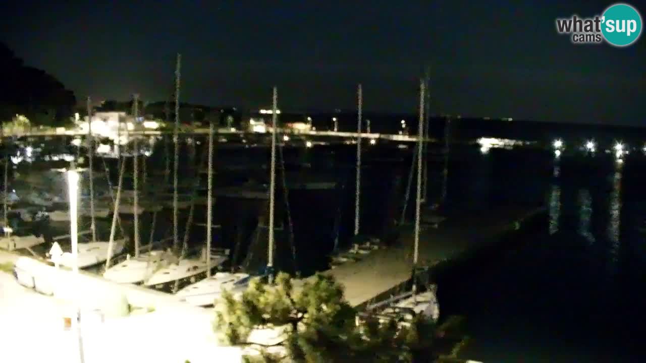 Spletna kamera Sesljan (Sistiana) – Pogled na marino in zaliv