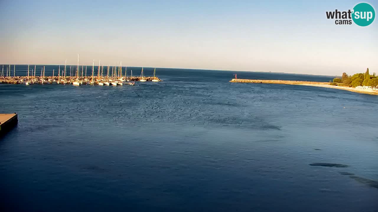 Webcam Sistiana – Marina and Bay Live View