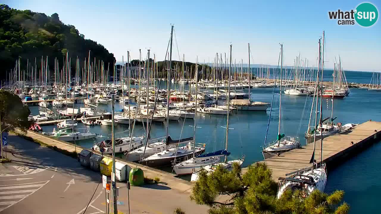 Webcam Sistiana – Pogled na marinu i zaljev