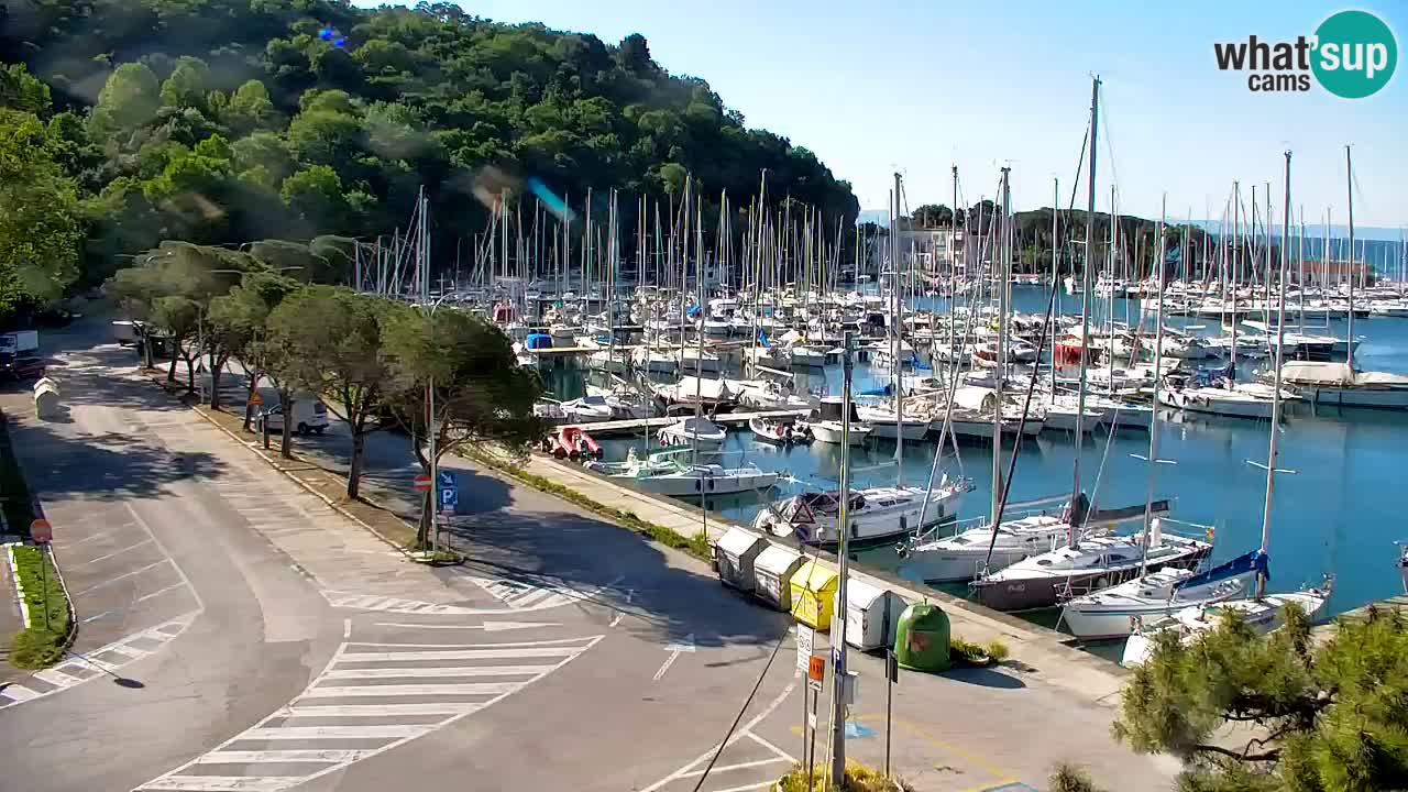 Spletna kamera Sesljan (Sistiana) – Pogled na marino in zaliv