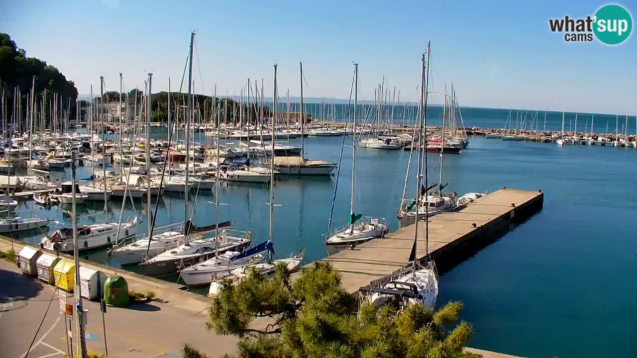 Webcam Sistiana – Marina and Bay Live View