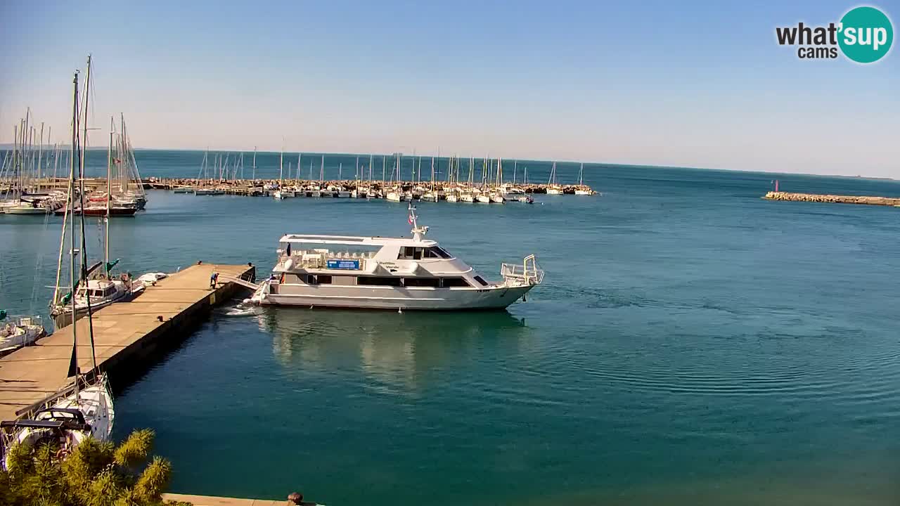 Webcam Sistiana – Vista sobre la marina y la bahía
