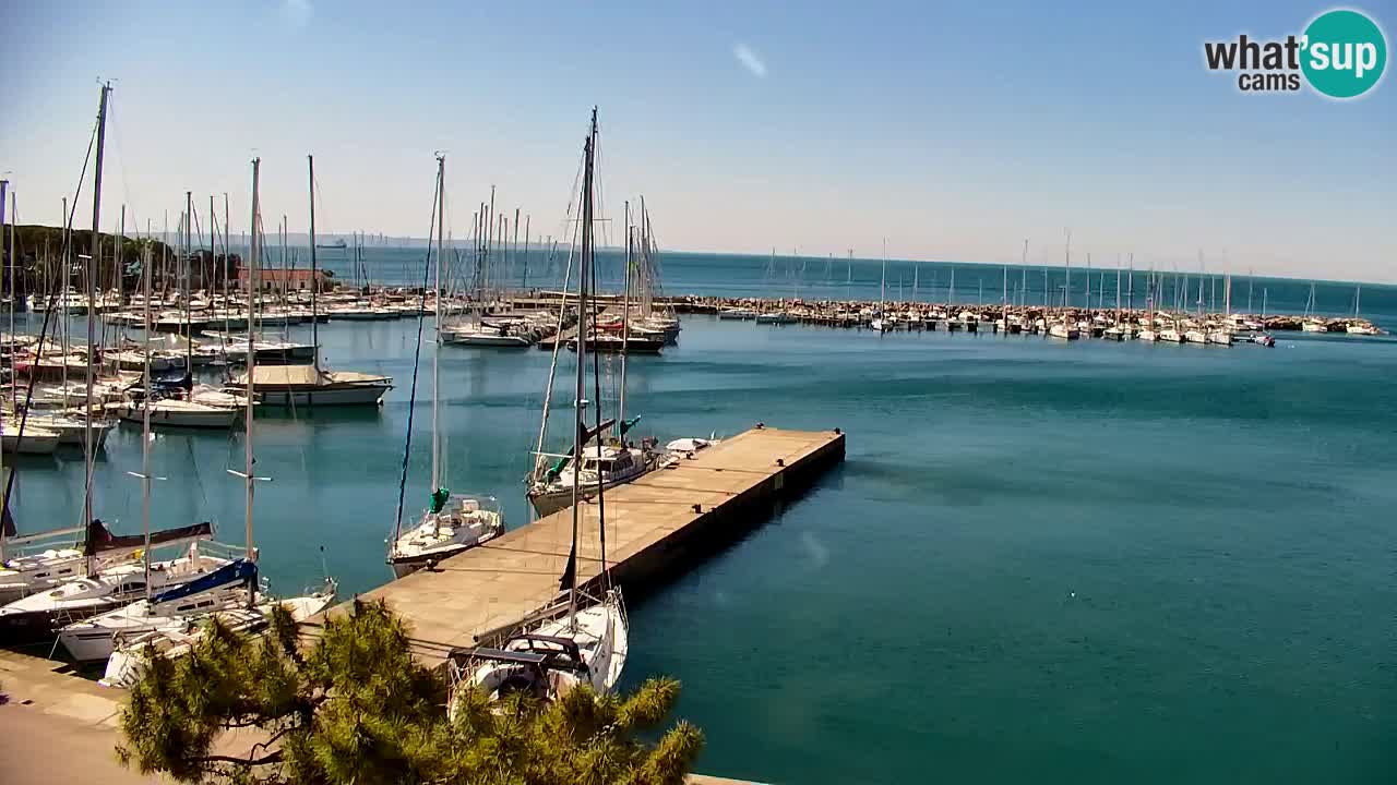 Webcam Sistiana – Pogled na marinu i zaljev
