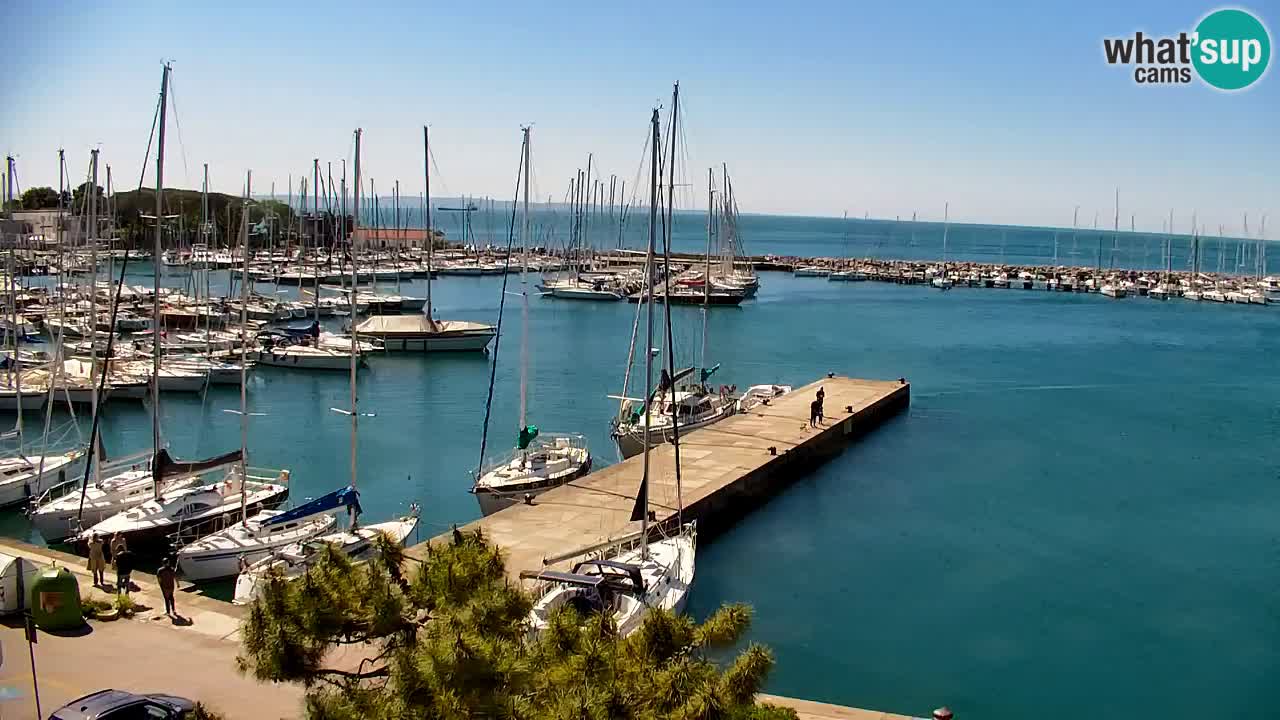 Webcam Sistiana – Marina and Bay Live View