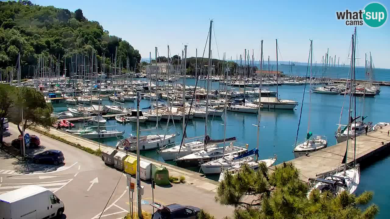 Webcam Sistiana – Blick auf Marina und Bucht