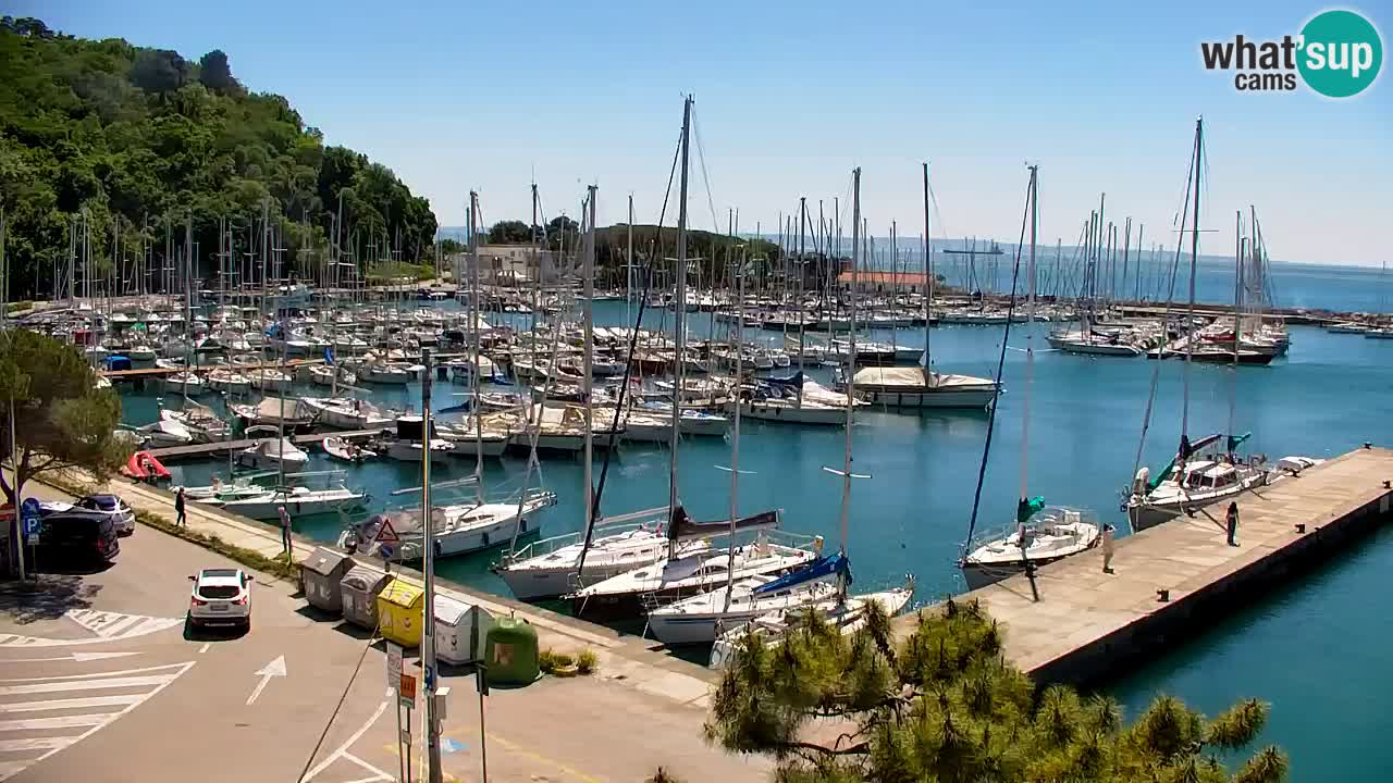 Spletna kamera Sesljan (Sistiana) – Pogled na marino in zaliv