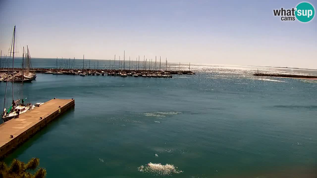 Webcam Sistiana – Marina and Bay Live View