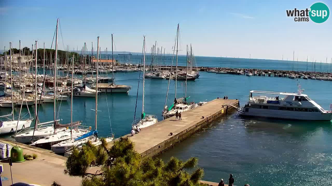 Webcam Sistiana – Marina and Bay Live View