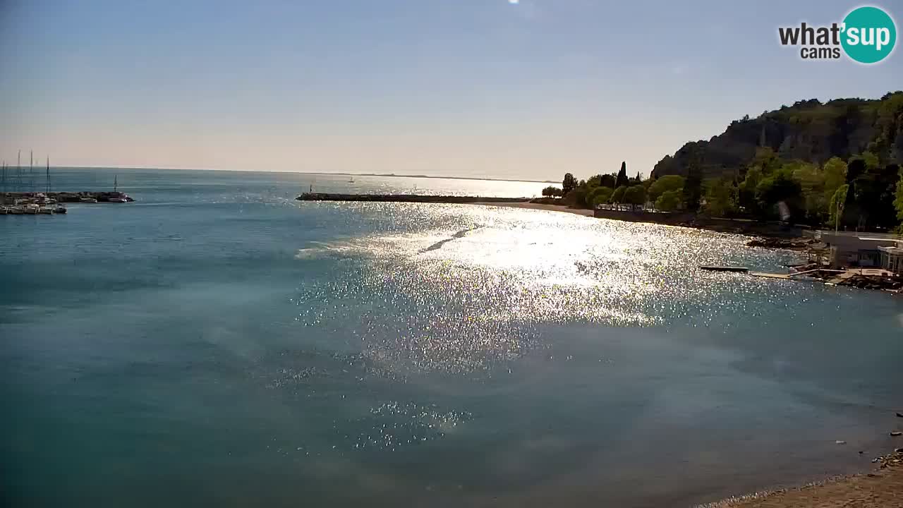 Webcam Sistiana – Marina and Bay Live View