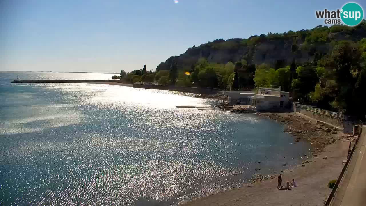 Webcam Sistiana – Pogled na marinu i zaljev