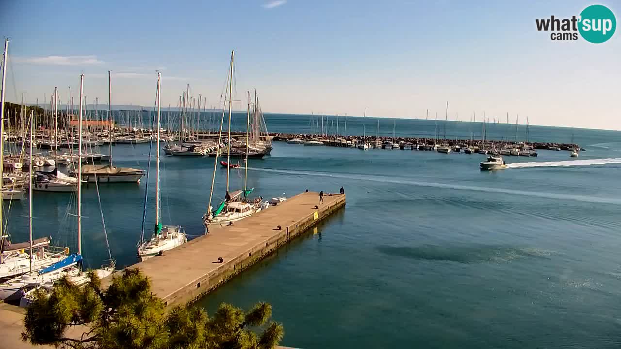 Webcam Sistiana – Marina and Bay Live View