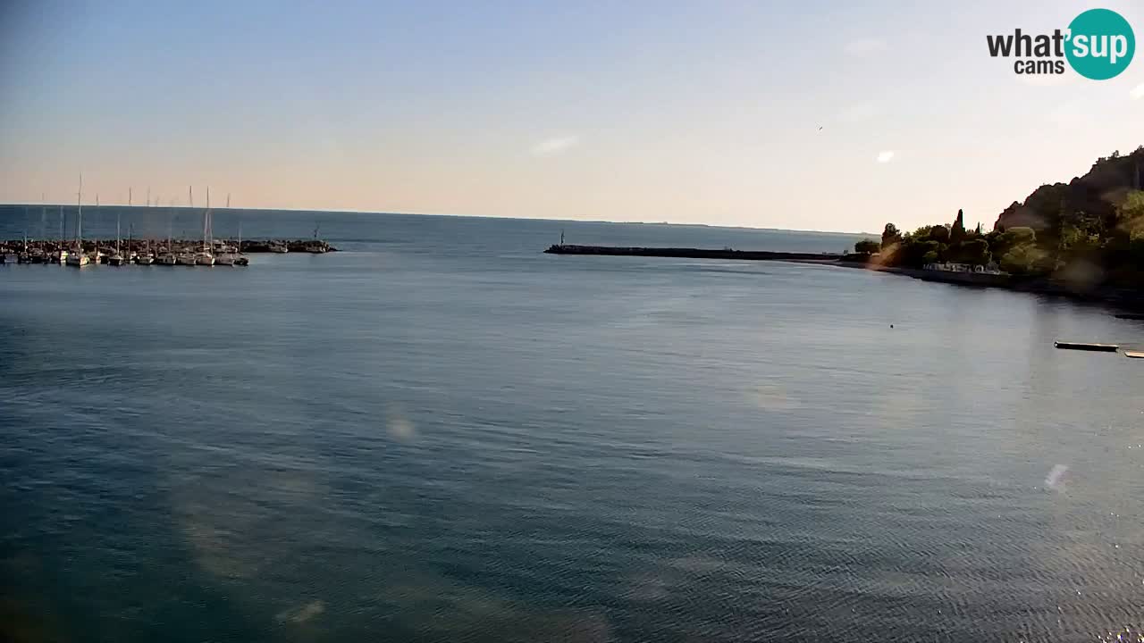 Spletna kamera Sesljan (Sistiana) – Pogled na marino in zaliv