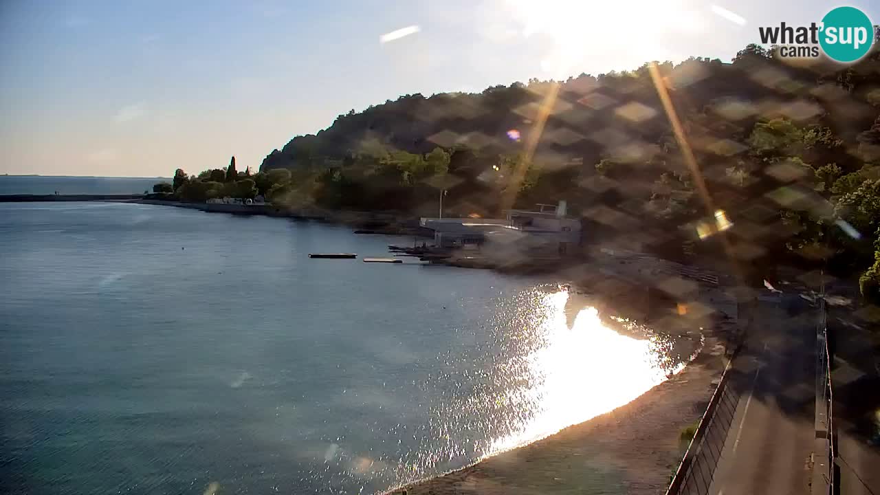 Webcam Sistiana – Marina and Bay Live View