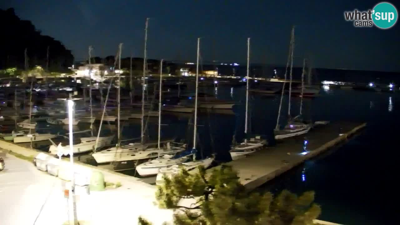 Webcam Sistiana – Vista sobre la marina y la bahía