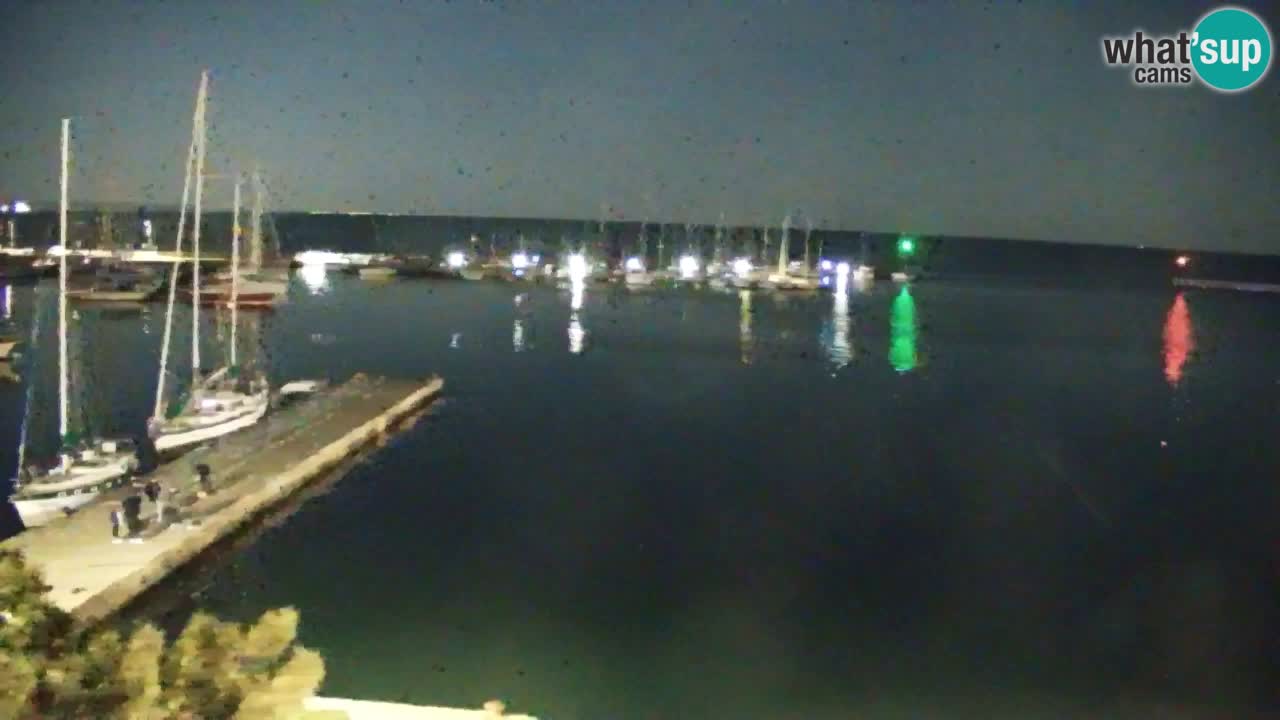 Webcam Sistiana – Pogled na marinu i zaljev
