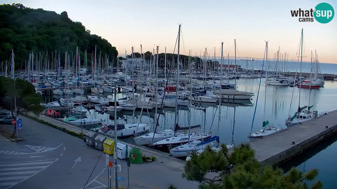 Spletna kamera Sesljan (Sistiana) – Pogled na marino in zaliv