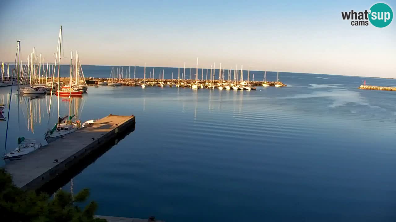 Webcam Sistiana – Marina and Bay Live View