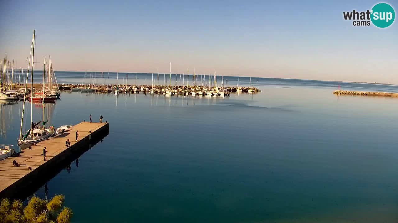 Webcam Sistiana – Pogled na marinu i zaljev