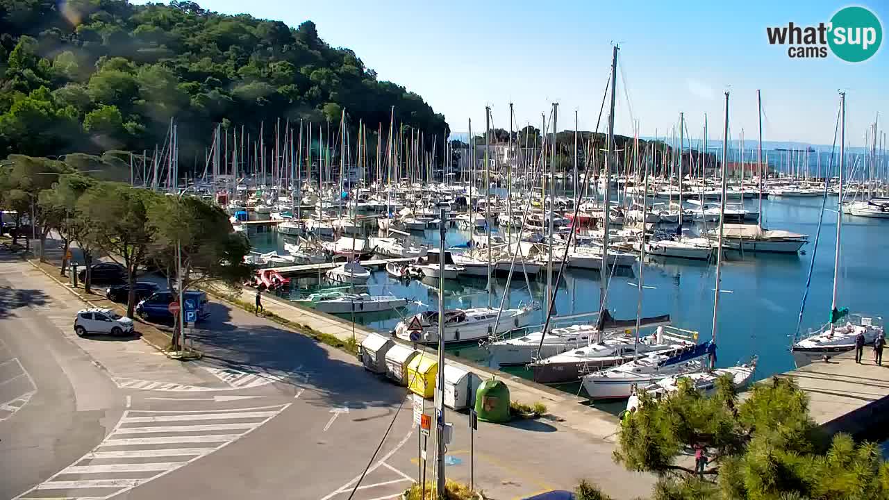 Webcam Sistiana – Marina and Bay Live View
